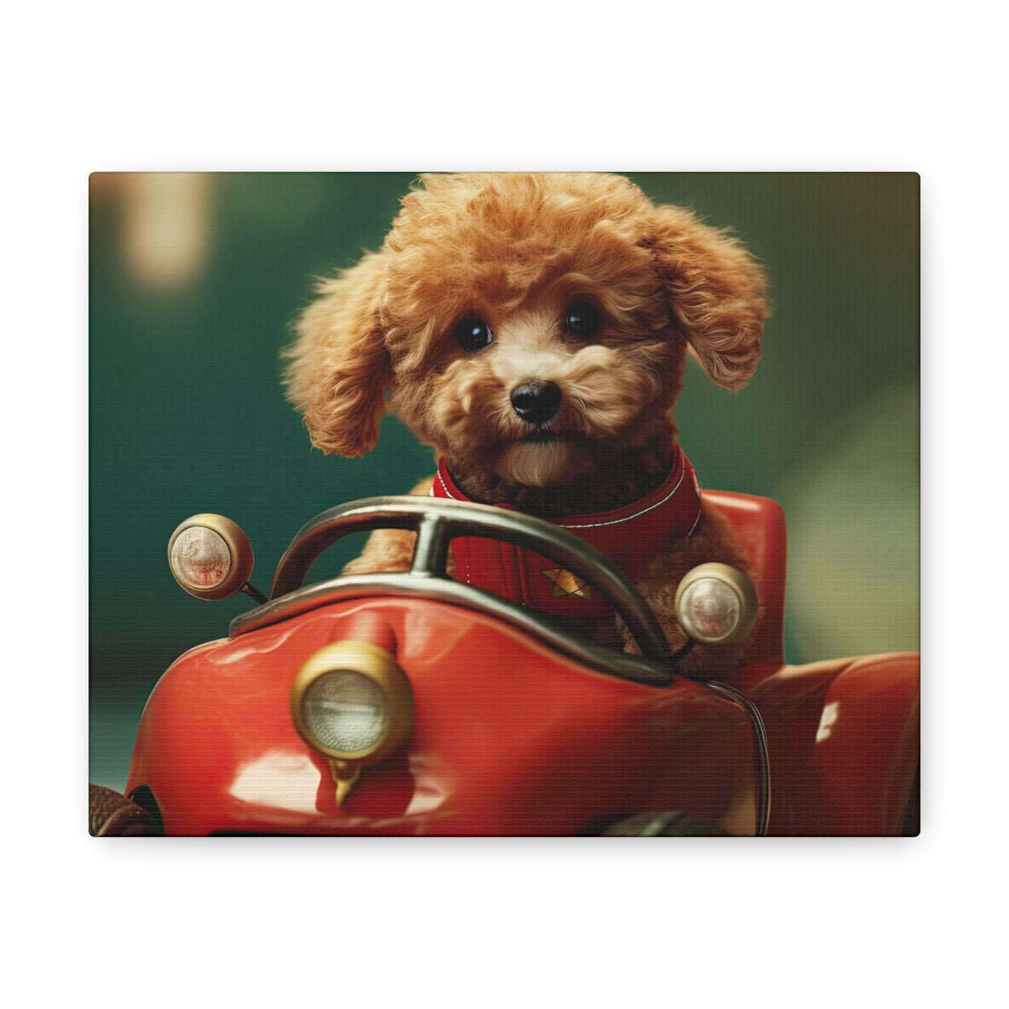 Formula Poodle Racer - Canvas