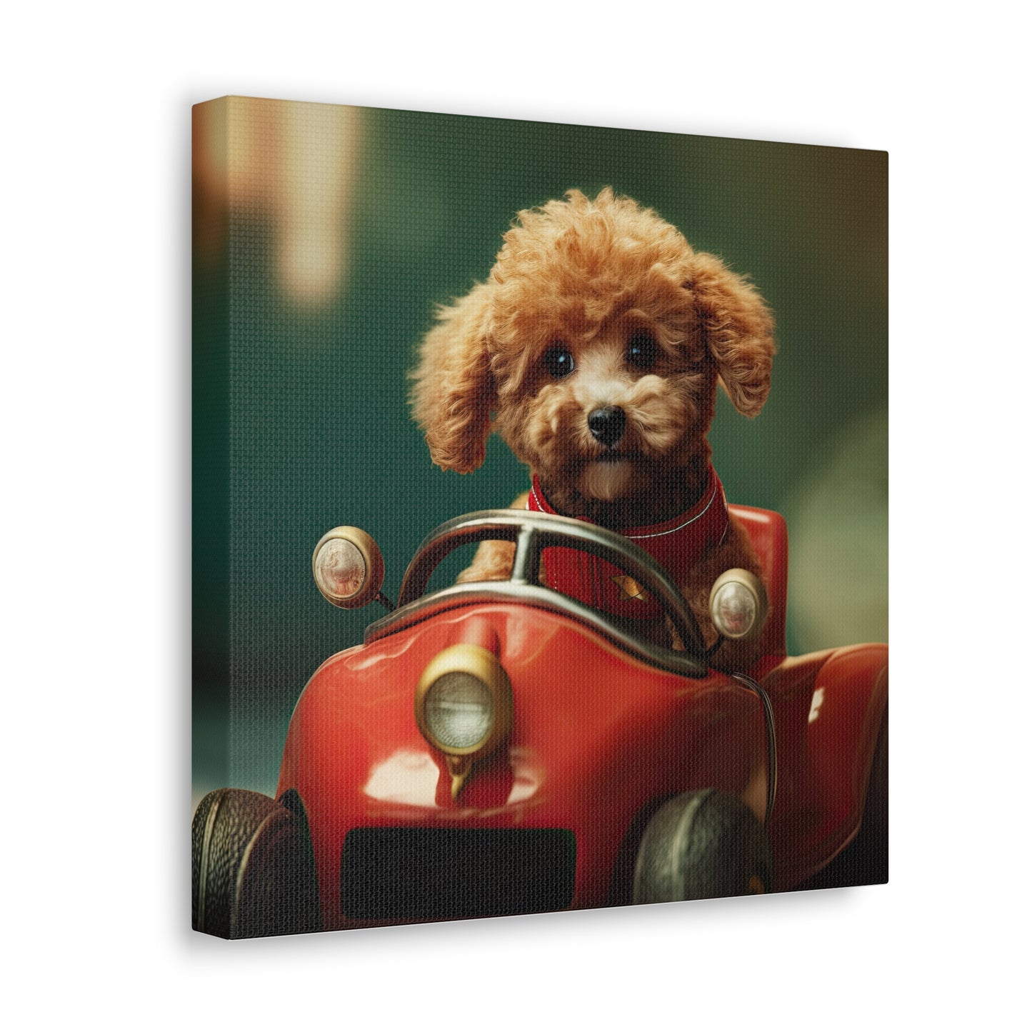 Formula Poodle Racer - Canvas