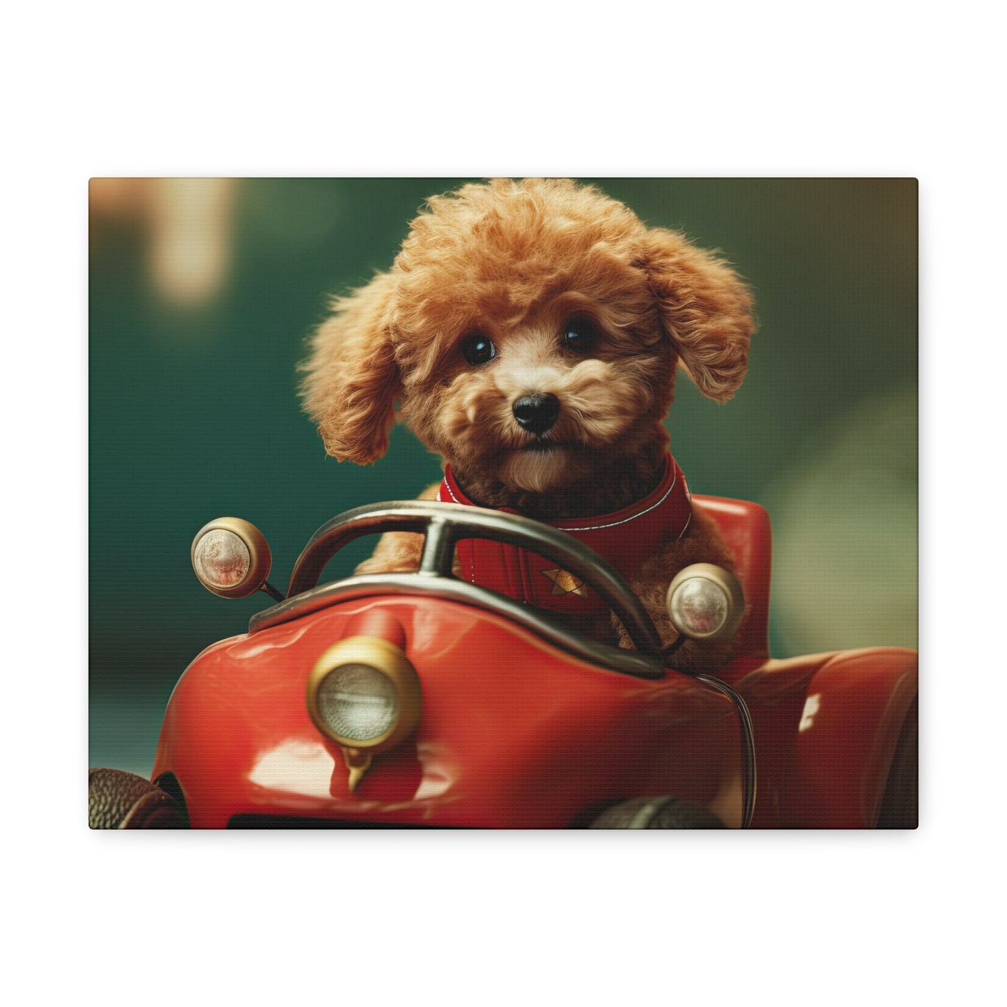 Formula Poodle Racer - Canvas