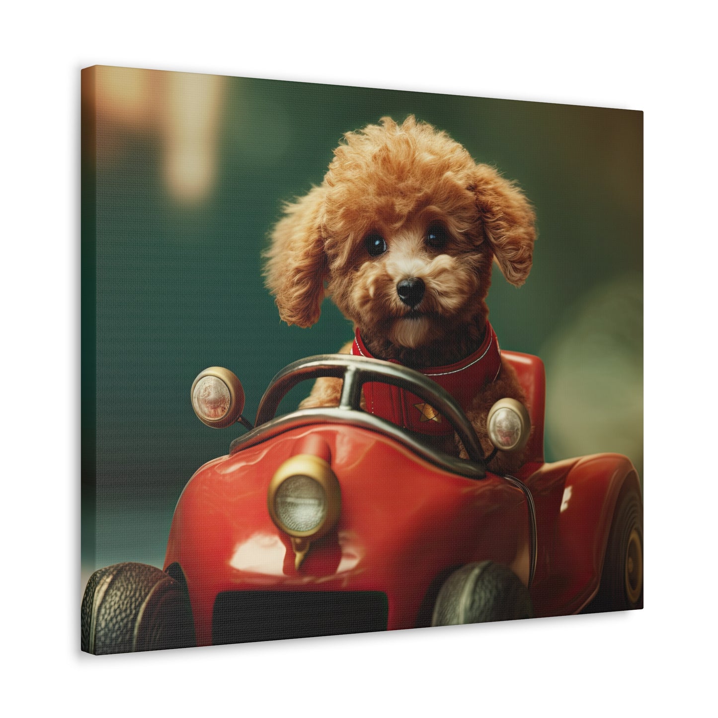 Formula Poodle Racer - Canvas