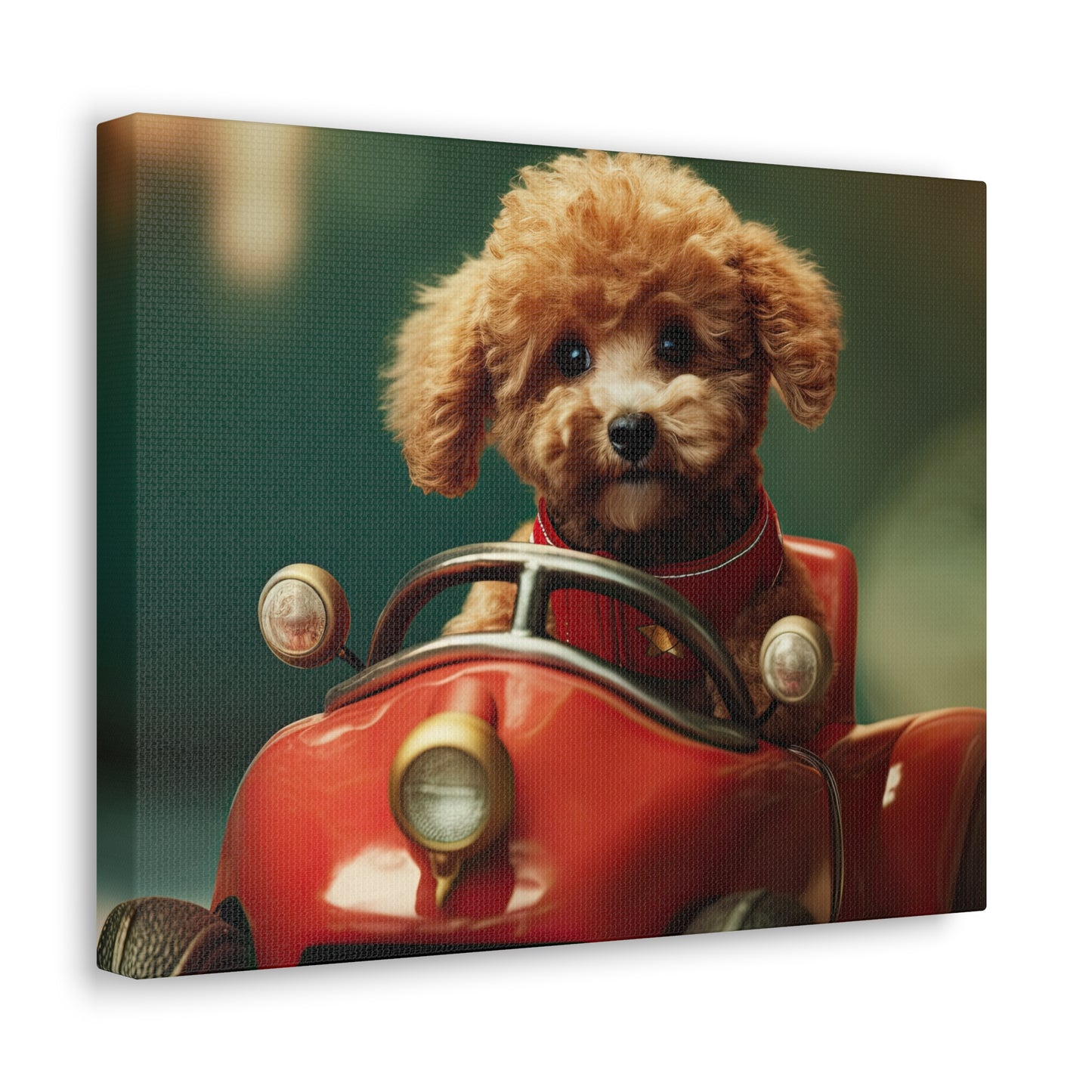 Formula Poodle Racer - Canvas