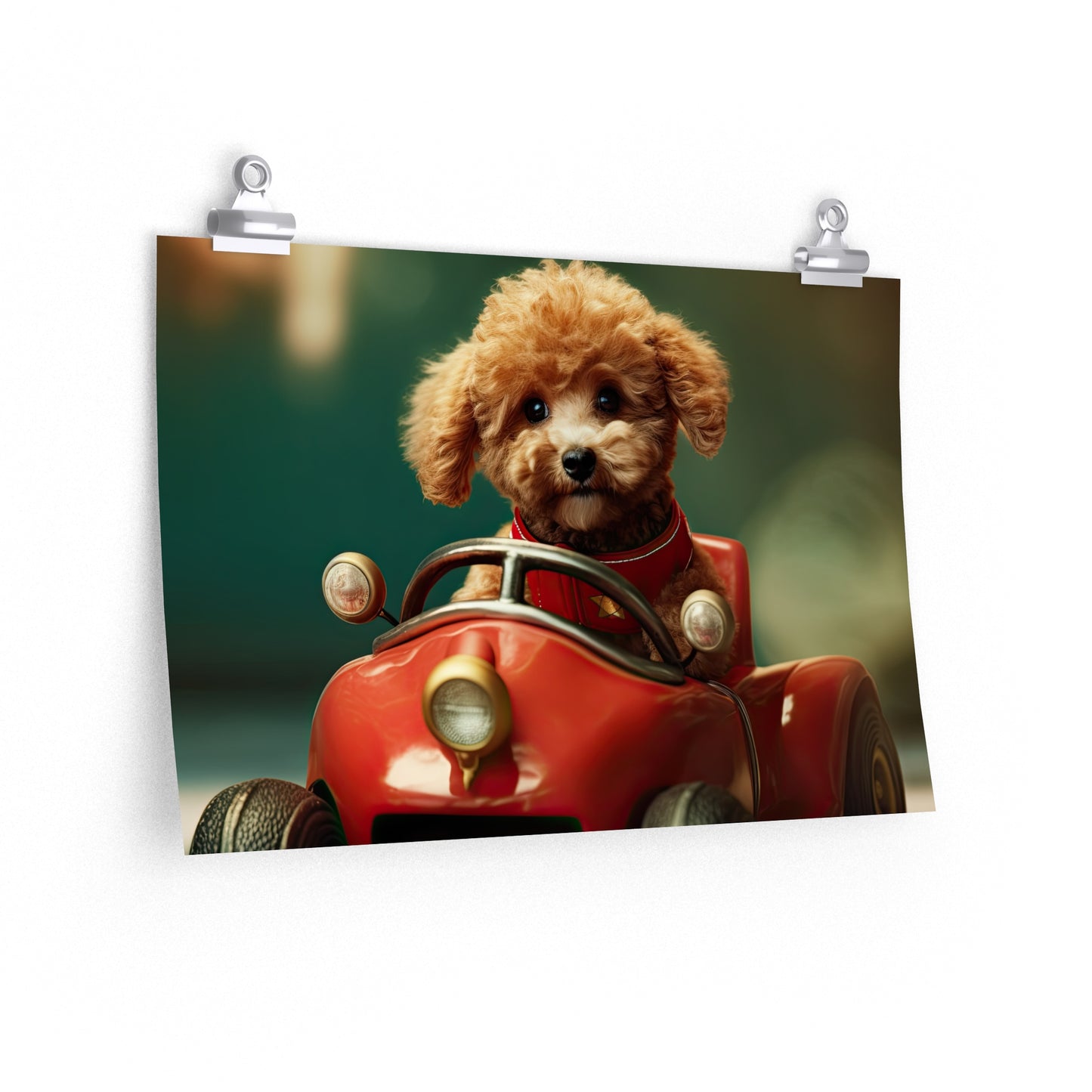 Formula Poodle Racer - Poster