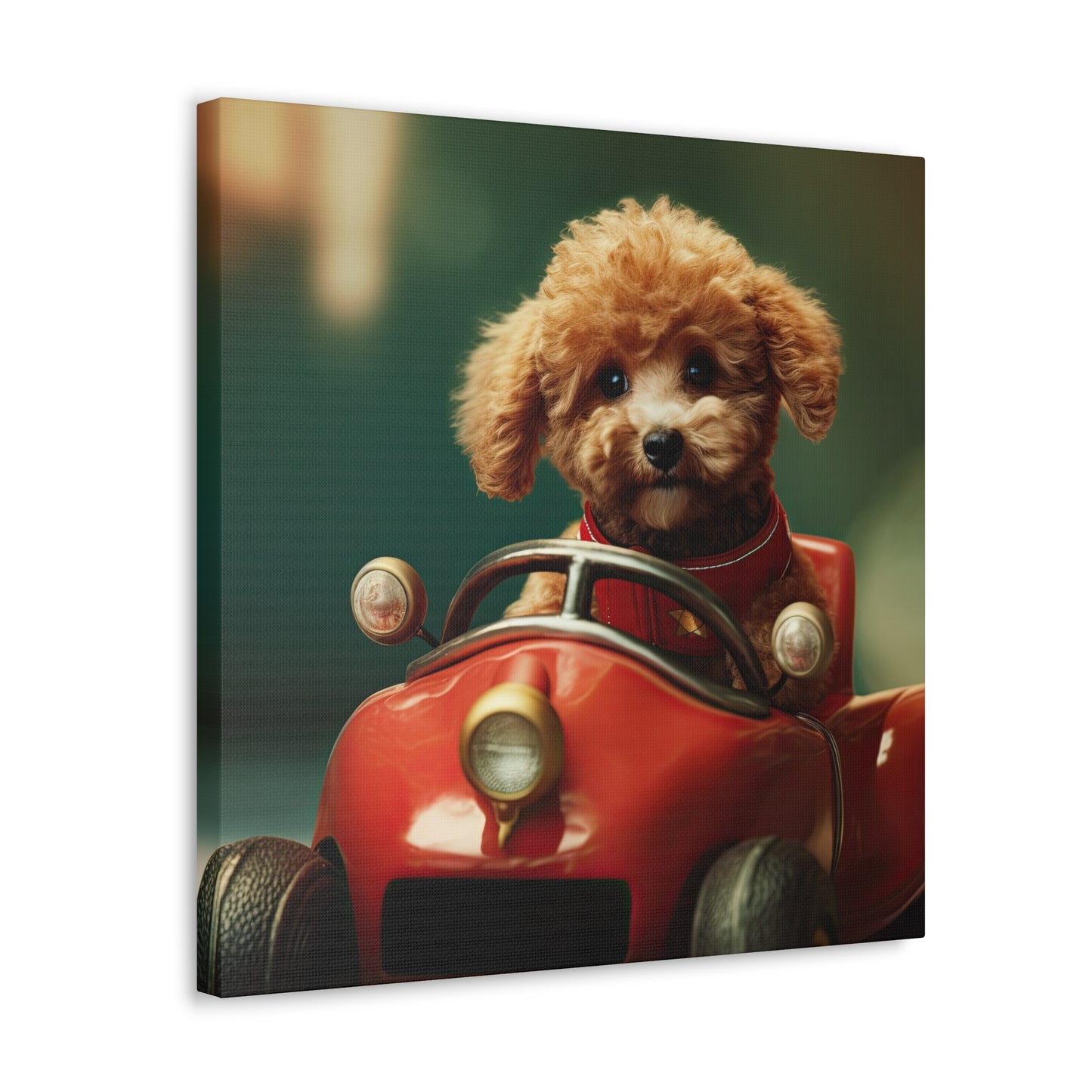 Formula Poodle Racer - Canvas