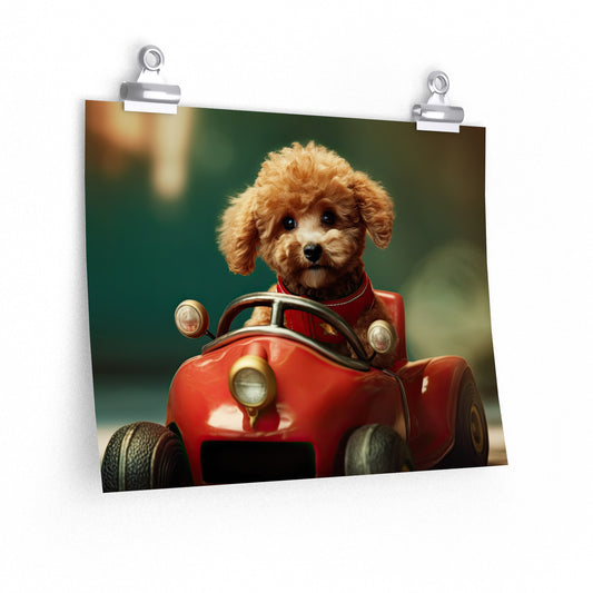 Formula Poodle Racer - Poster