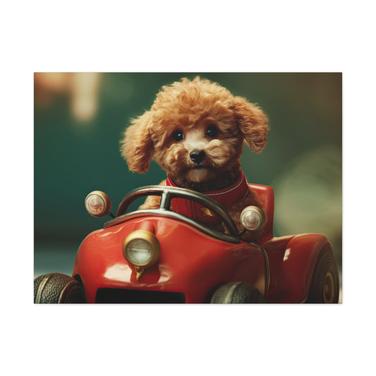 Formula Poodle Racer - Canvas