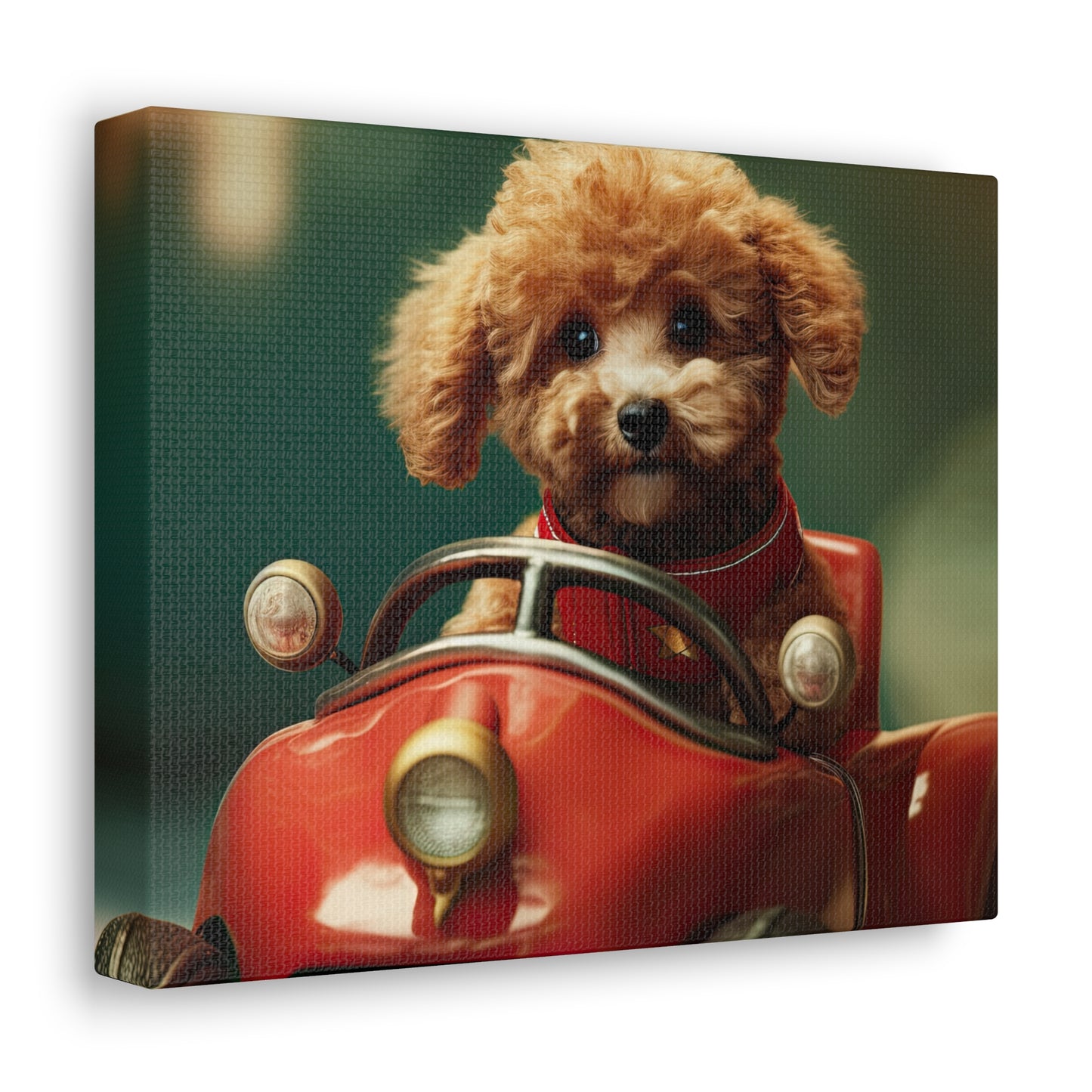 Formula Poodle Racer - Canvas