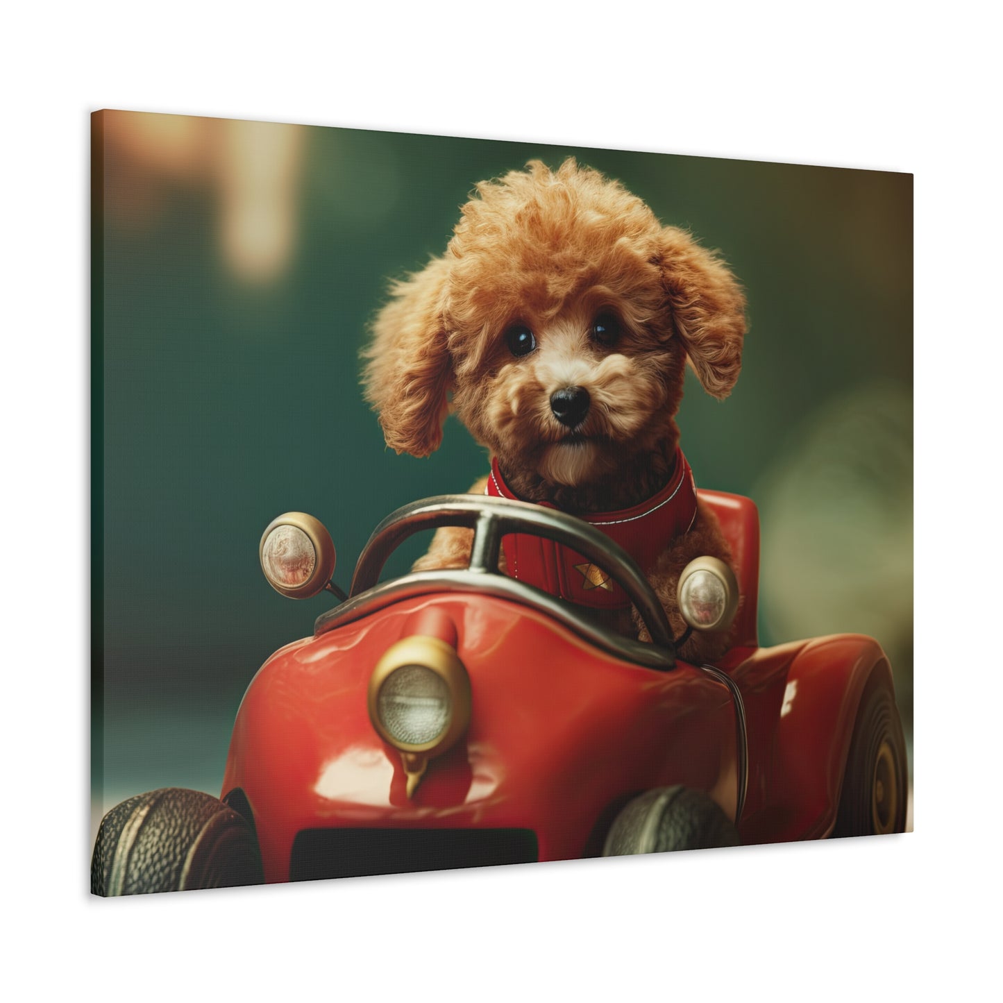 Formula Poodle Racer - Canvas