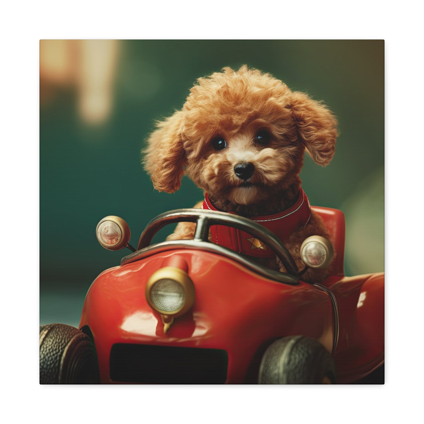 Formula Poodle Racer - Canvas