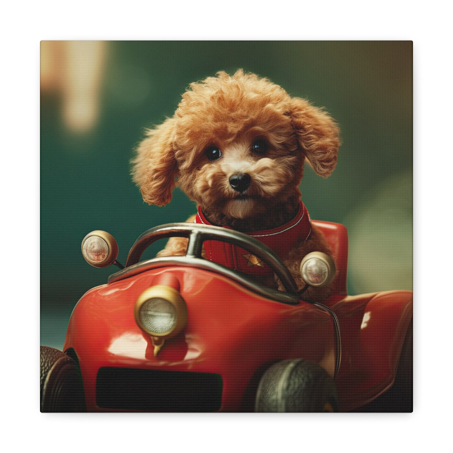 Formula Poodle Racer - Canvas