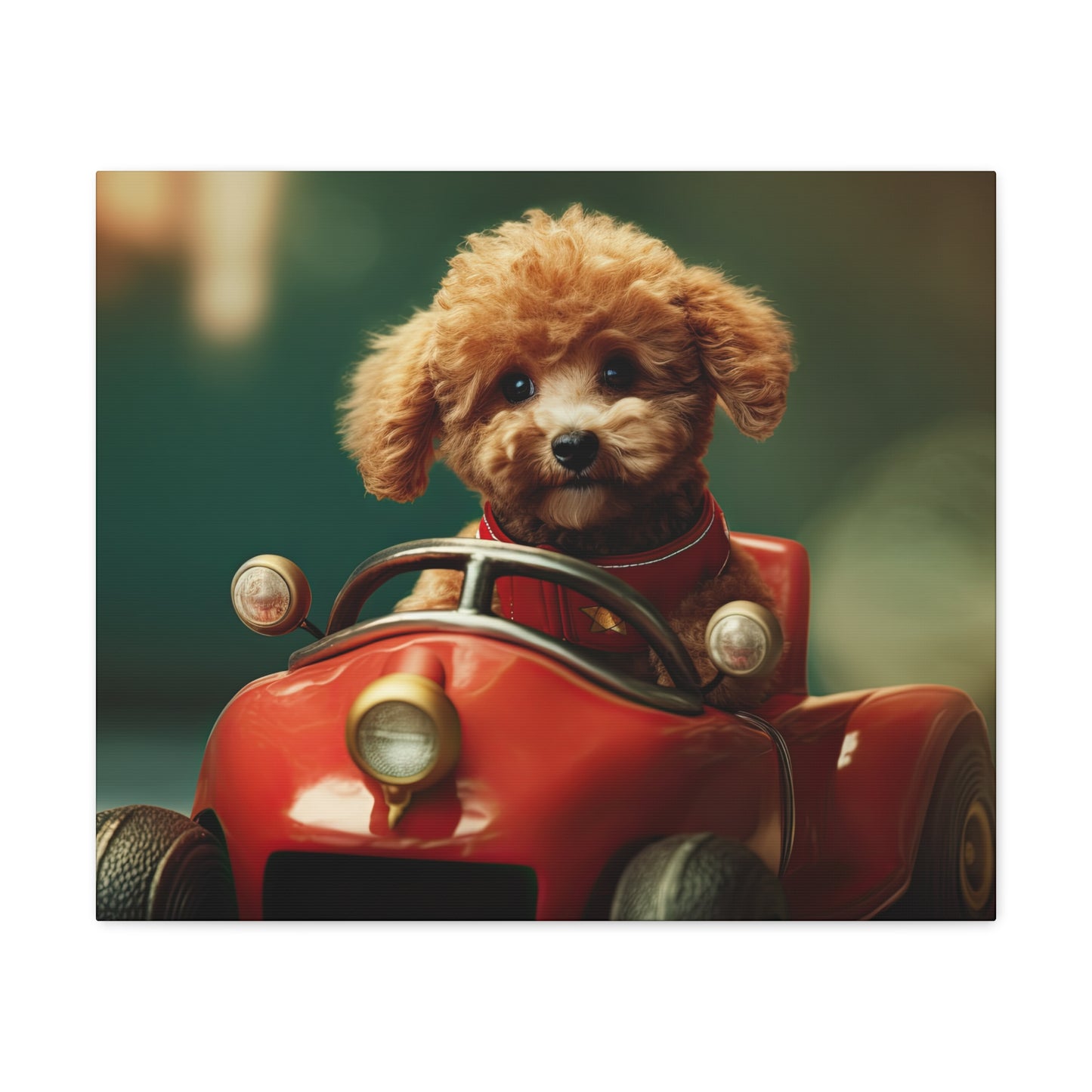 Formula Poodle Racer - Canvas