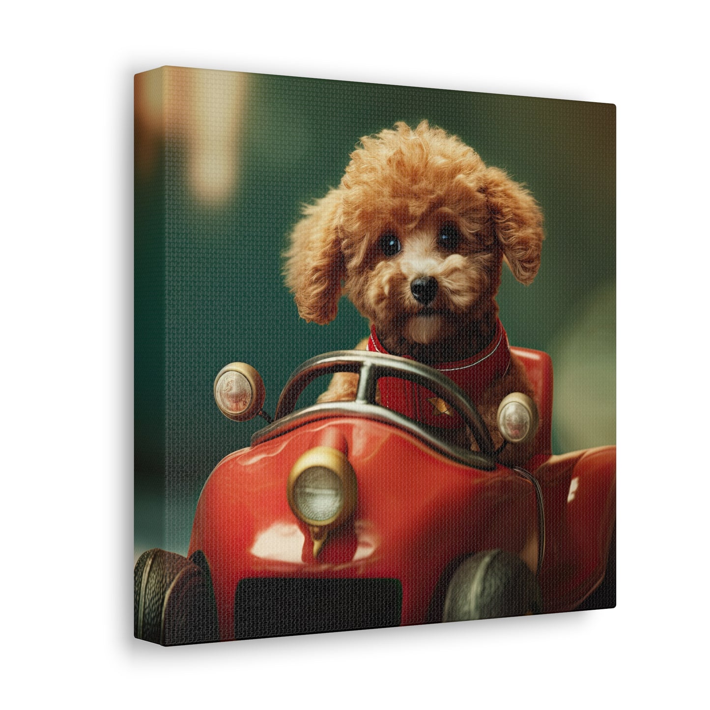 Formula Poodle Racer - Canvas