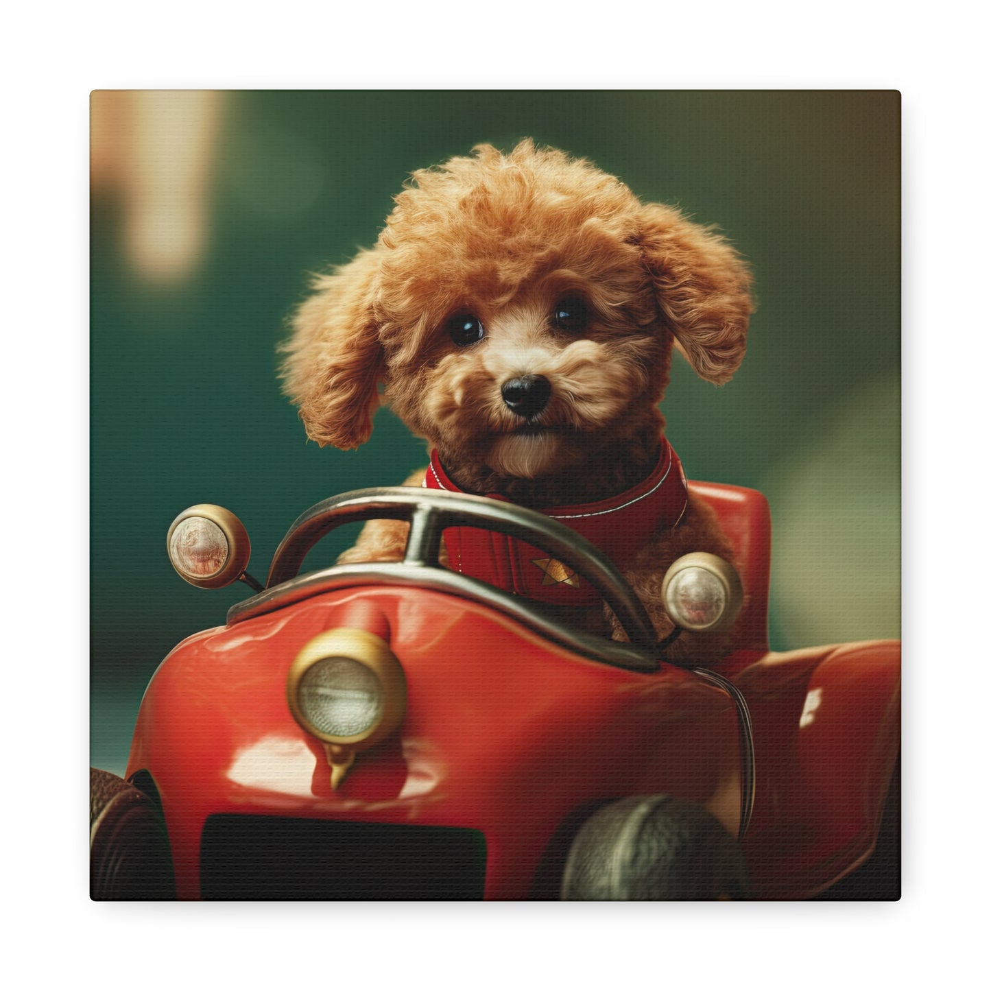 Formula Poodle Racer - Canvas